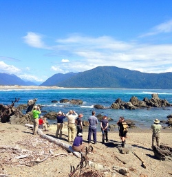 hikers at martins bay new zealand