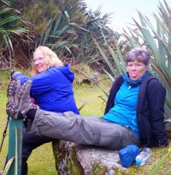 martins bay hikers 