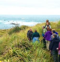 martins bay hiking