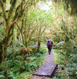 miford track moss