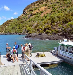 mou waho island jetty