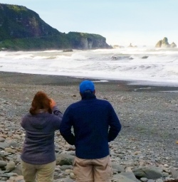 punakaiki beach new zealand