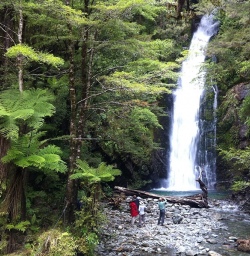 Hollyford Track waterfall