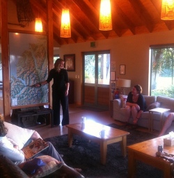 Martins Bay Lodge