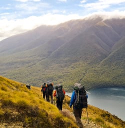 Bushline track views copy