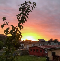 Sunset at Okarito, West Coast NZ