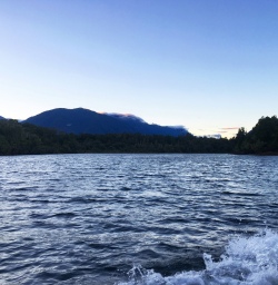 6 jetboat hollyford river martins bay2