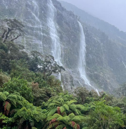 3 Moody Waterfalls on the Milford Track March2025