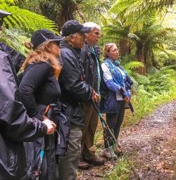Walking at Martins Bay, Fiordland New Zealand
