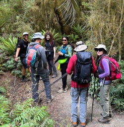 Kepler Track guided hiking tour 24MAR25