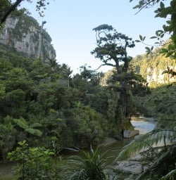 12 pororari river paparoa west coast2