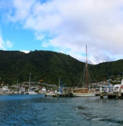 7 havelock port marlborough new zealand