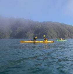 Kayaking at Marlborough Sounds, New Zealand