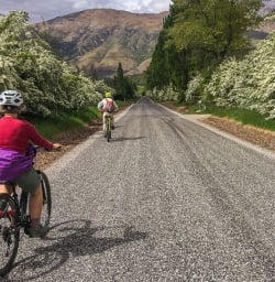 Biking around Hawthorn trees at Otago, New Zealand