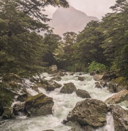 Routeburn Track river, Otago New Zealand