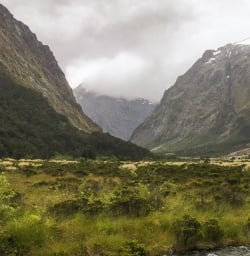 Monkey Creek, Fiordland New Zealand