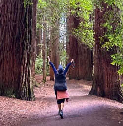 Whakarewarewa forest
