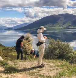 Lake Wanaka Lookout, Otago New Zealand
