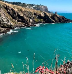 Explore Christchurch Godley Head 02 December 2024 6