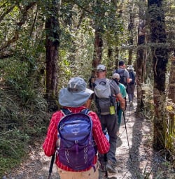 4 Hiking Through the Forest in Tongariro National Park 11MAR25