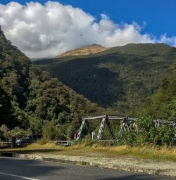 Fox Glacier, West Coast New Zealand