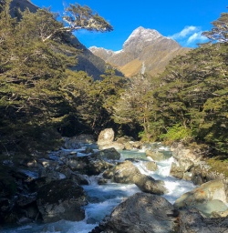 Routeburn track river, Otago New Zealand