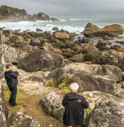 Martins Bay Seal Colony, Fiordland New Zealand