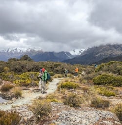 Walking the Key Summit Lookout Trail Lake, Fiordland New Zealand