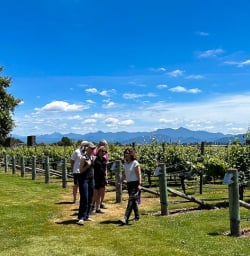 Queen Charlotte Sound Marlborough Vineyards 02 December 2024 7