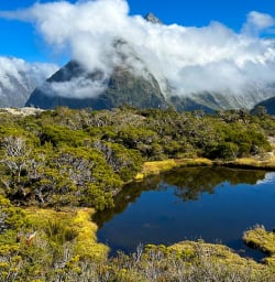Routeburn Track 24MAR25