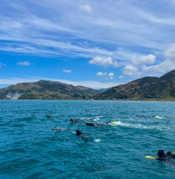 Kaikoura dolphin swim 03FEB25