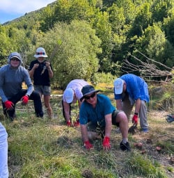 Arrowtown native tree planting 03FEB25