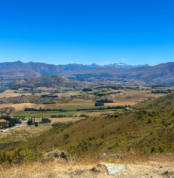 Queenstown Hill 03FEB25