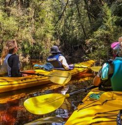 Kayak tour at Okarito Lagoon, West Coast New Zealand