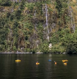 Kayaking in Milford Sound