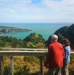 2 west coast lookout new zealand