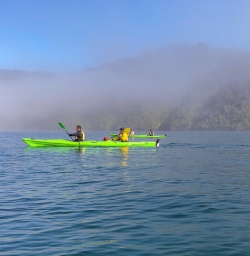 Kayaking at Marlborough Sounds, New Zealand