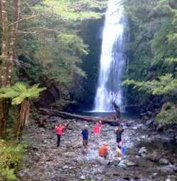 hikers at little homer falls on the hollyford track