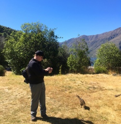 3 weka mou waho island wanaka2