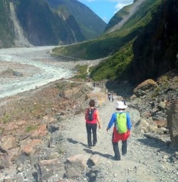 fox glacier valley