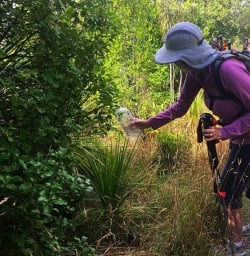 Every time we visit this place we make sure to plant some more native trees to help with conservation efforts here.
