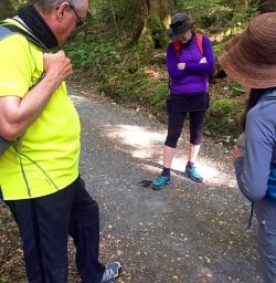 robin at routeburn track new zealand