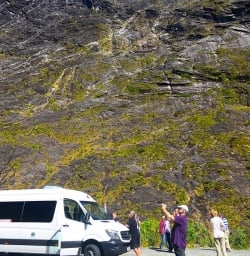 A quick stop on the way to Milford Sound. 
