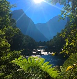 A picture perfect view of Milford Sound