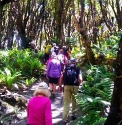 Fiordland National Park New Zealand