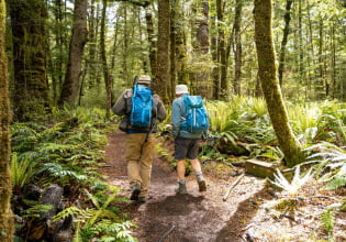 walking in the beech forest Kepler Track