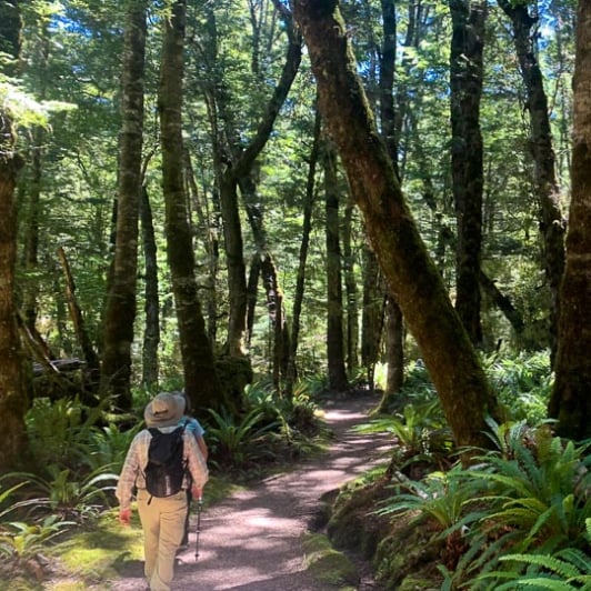 Guests walking on the Kepler Track 60126