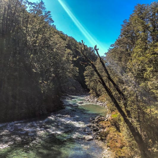 Routeburn Track