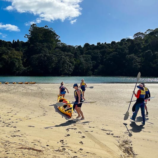 Cathedral Cove adventure tours 