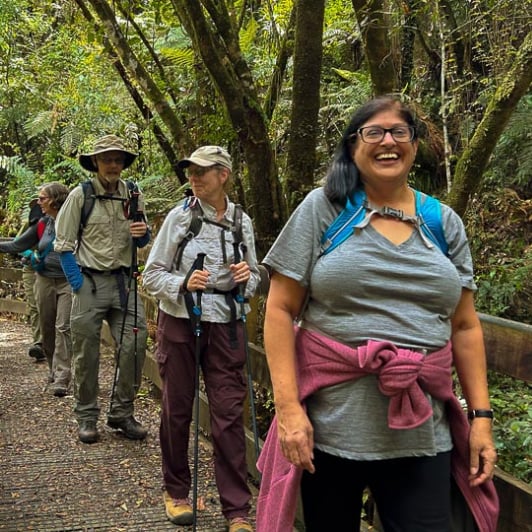 Arrive Auckland and explore Waiomu Kauri Grove